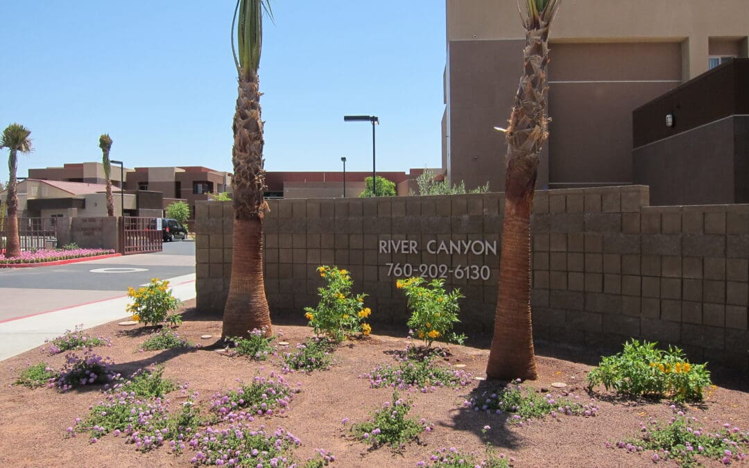 River Canyon Apartments Wins Reputation Management Contest!